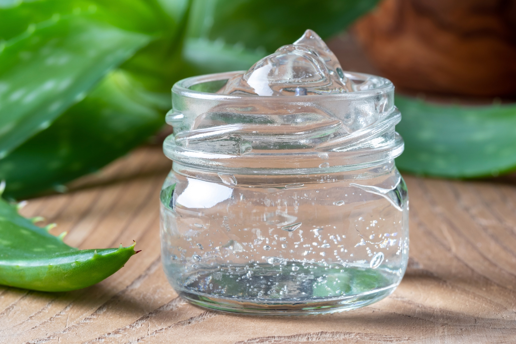 Aloe vera gel with fresh aloe vera plant