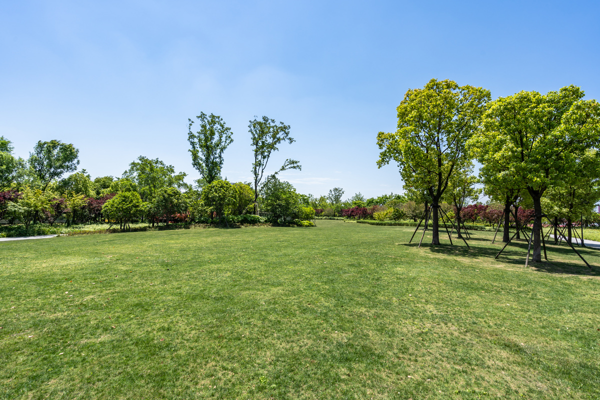 outdoor park